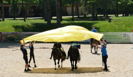 16 Show Team Zimmermann